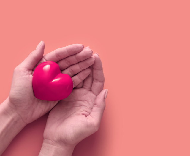 donează pentru merida